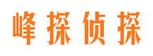 嘉峪关市调查公司